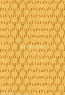 蜂蜜蜂巢背景  图片