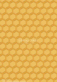 蜂蜜蜂巢背景  图片