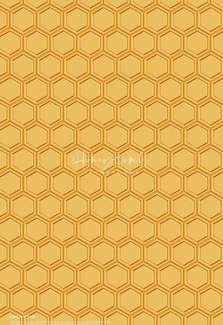 蜂蜜蜂巢背景  图片