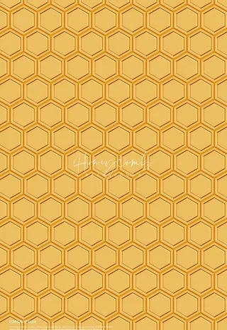 蜂蜜蜂巢背景  图片