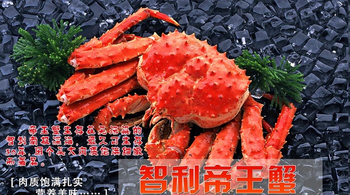 海鲜海报图片(2409x1417)psd模版下载