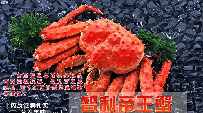 海鲜海报图片(2409x1417)psd模版下载