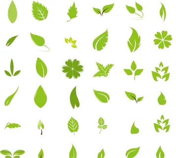 绿叶设计矢量图片 绿叶设计矢量图片