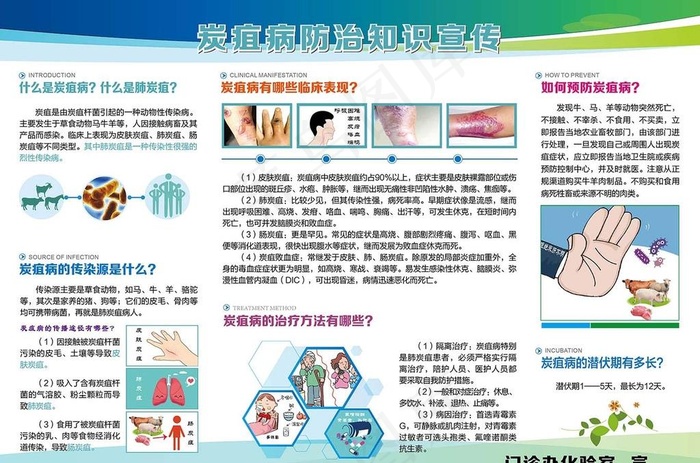 炭疽病防治知识宣传图片ai矢量模版下载