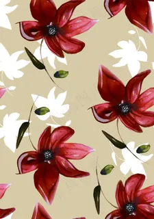 花卉图片 花卉图片