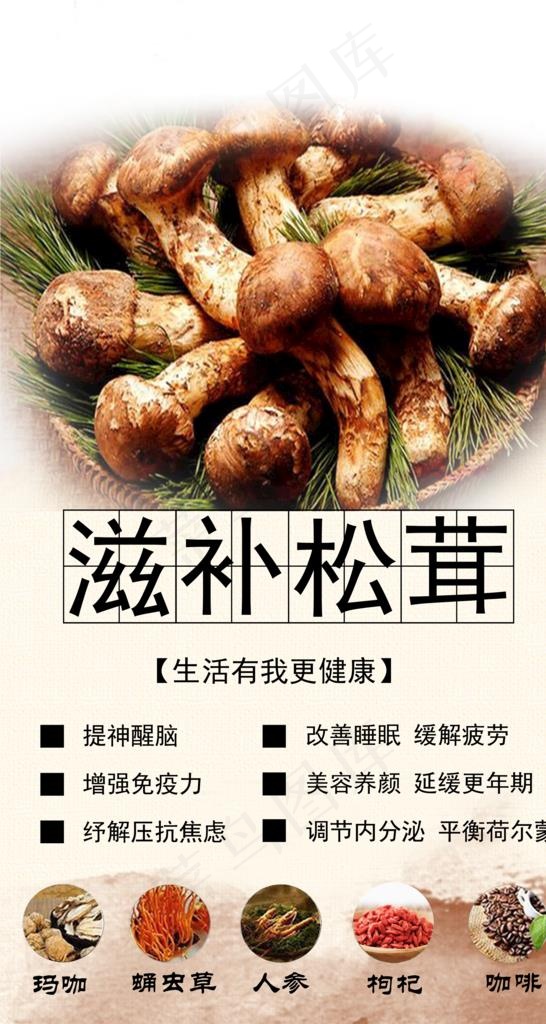 松茸海报图片psd模版下载