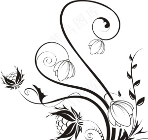 单花  藤蔓 无瓣花 果实图片