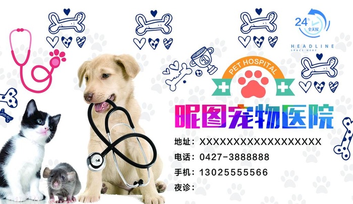 宠物医院图片(1087x661)psd模版下载