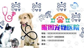 宠物医院图片