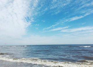 大海 浪花 海边 海浪 海水图片