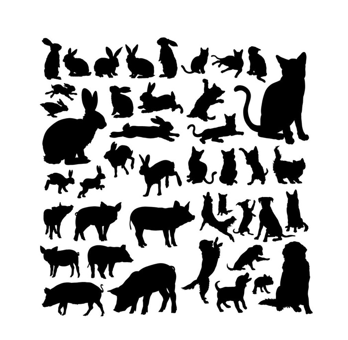 动物剪影 图片