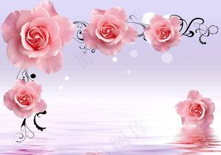 玫瑰花倒影图片