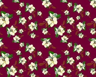 一朵花红底图片