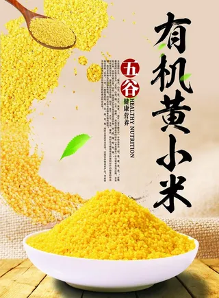 有机黄小米图片