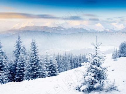 冬季雪景图片