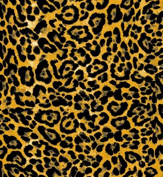 豹纹图片