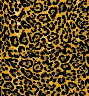 豹纹图片 豹纹图片