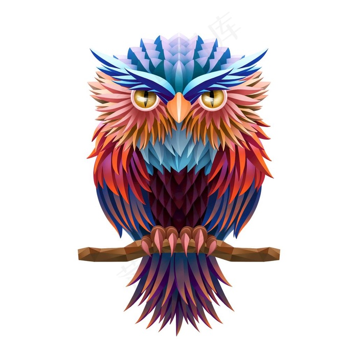 鹦鹉图片