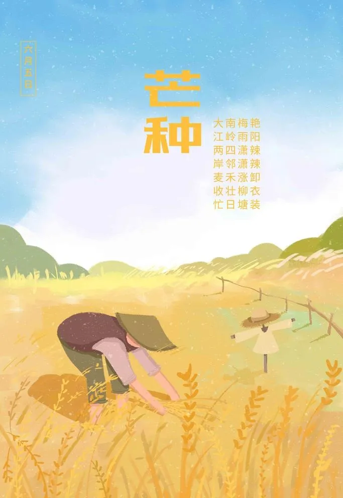 芒种图片(2988x5315)psd模版下载