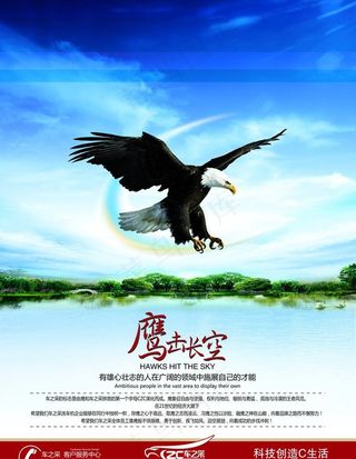 鹰击长空图片