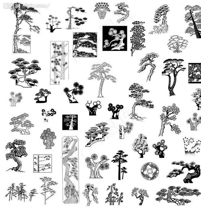 松树 白描（分层不精细）图片psd模版下载