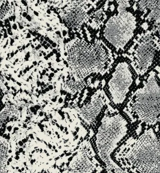 蛇纹图片