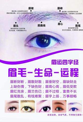 眉毛四字经图片