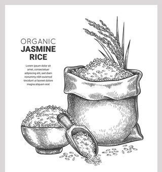 大米素描手绘图片