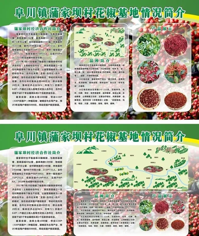 花椒基地展板图片cdr矢量模版下载