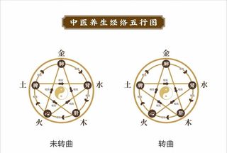中医养生经络五行图图片