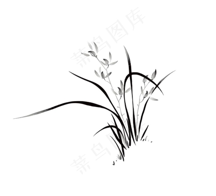 兰花图片cdr矢量模版下载