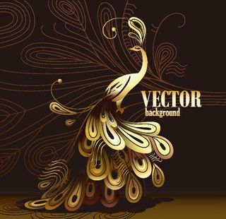 卡通孔雀插画矢量图片