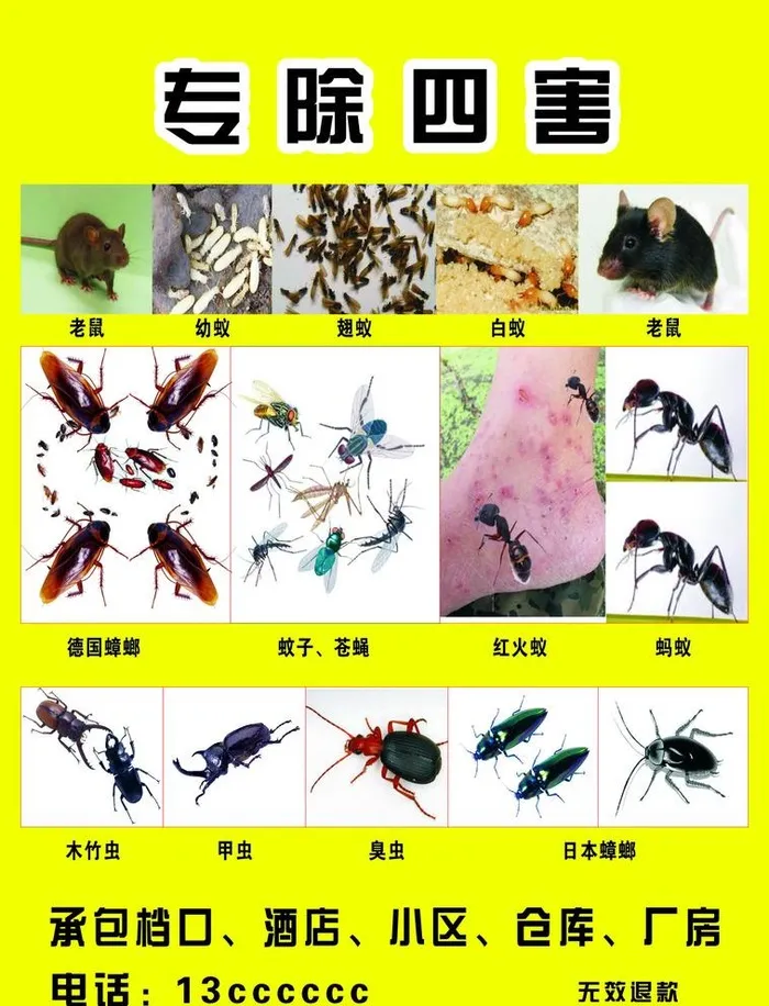 四害图片cdr矢量模版下载