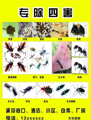 四害图片