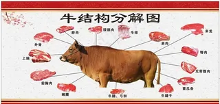 牛分解图图片