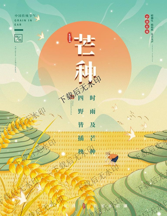 简约风二十四节气芒种节气海报图片