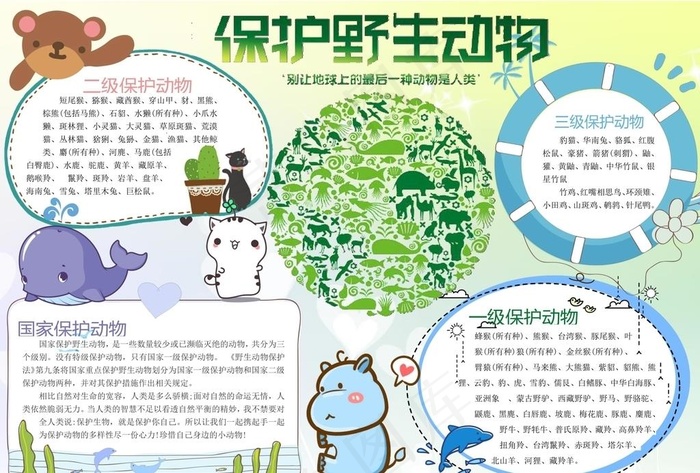 爱护动物图片