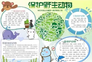 爱护动物图片