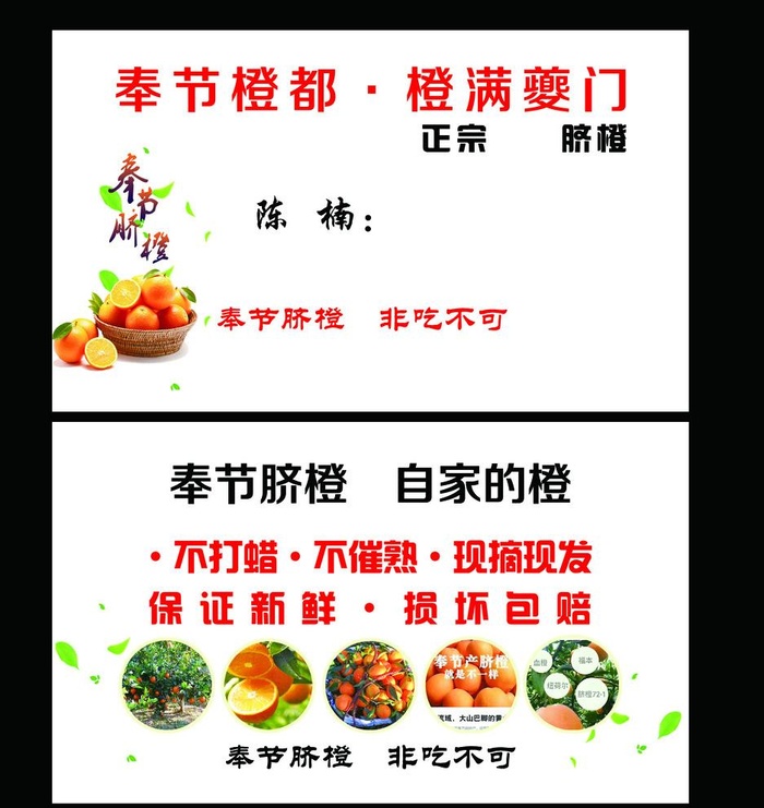脐橙名片图片(1772x1063)psd模版下载