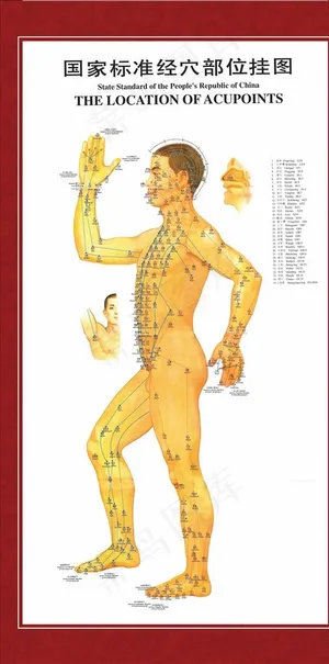人体穴位图图片