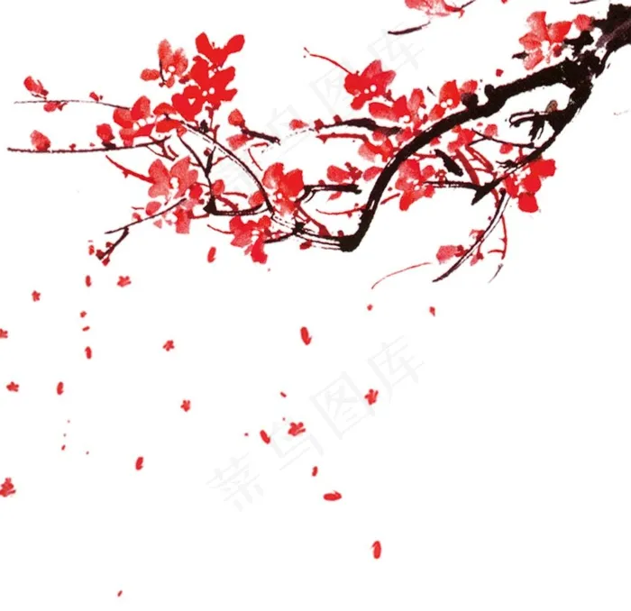梅花素材 图片