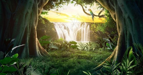 森林梦幻魔幻清新背景海报素材图片