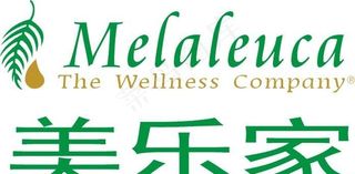 美乐家公司图标图片