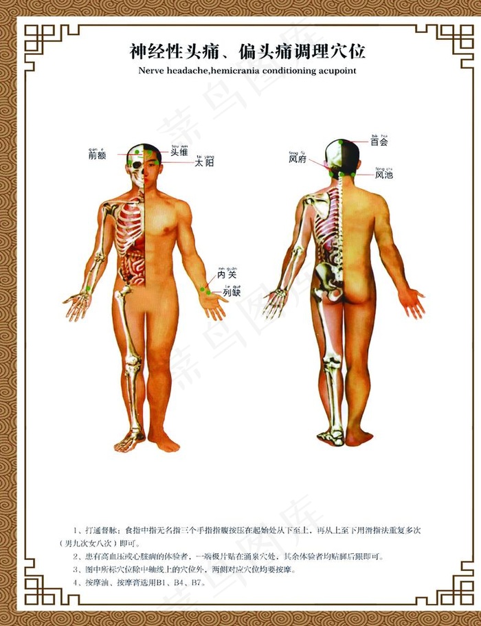 人体经络图图片
