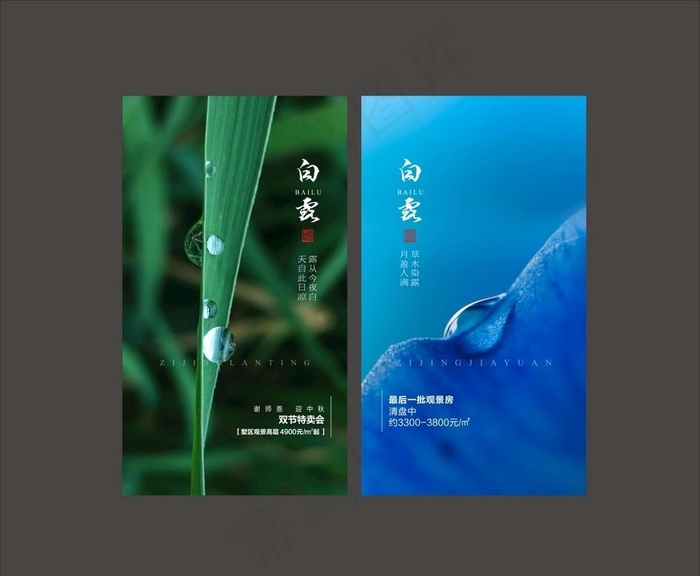 白露图片cdr矢量模版下载