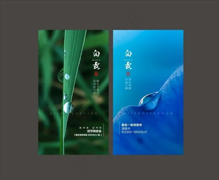 白露图片cdr矢量模版下载