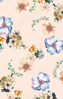 花朵 花卉 图片