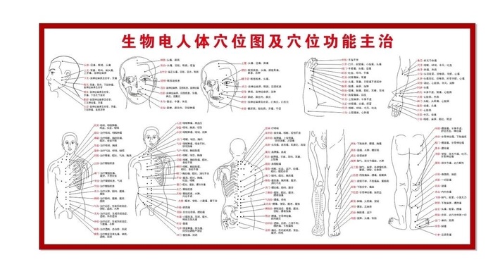 人体穴位图图片