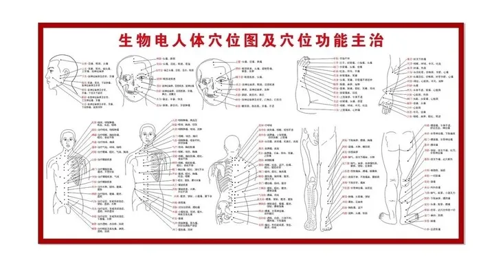 人体穴位图图片cdr矢量模版下载