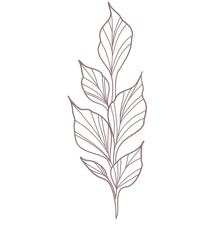 线描简约叶子图片